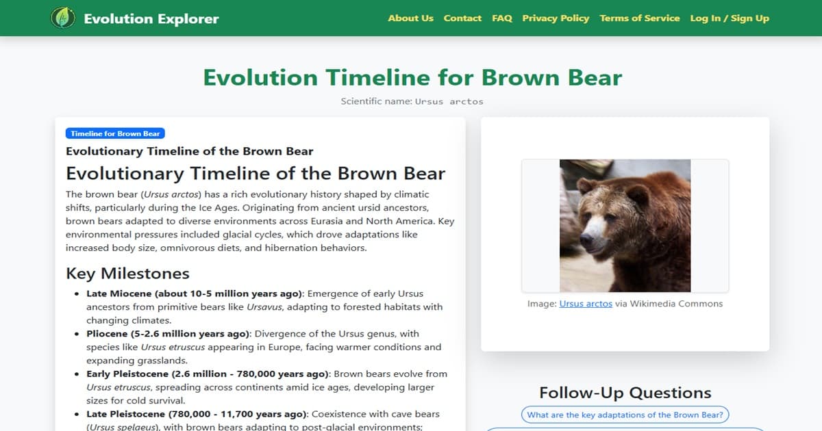 Evolution Explorer